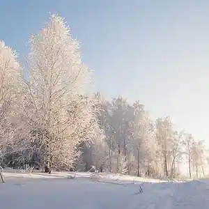 Picture for song 'Cold Weather (Instrumental)' by artist 'Denzlo'