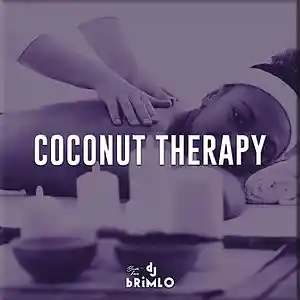 Picture for song 'Coconut Therapy (Buy 1 Get 1)' by artist 'DJ brimLo'