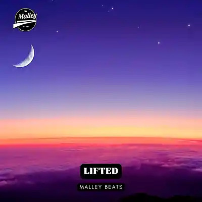 Picture for song 'LIFTED [MORGAN WALLEN COUNTRY TYPE BEAT]' by artist 'Malley Beats'
