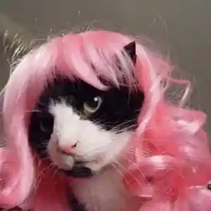 Picture for song 'BACK TO WORK - Drake x Meek Mill x Vince Staples' by artist 'nolyrics music group'