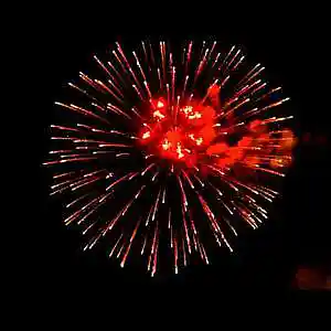 Picture for song 'Trance Vibration Nation' by artist 'Paul Dalla Via'