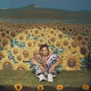 Picture for song 'Lemonade' by artist 'Primestars'