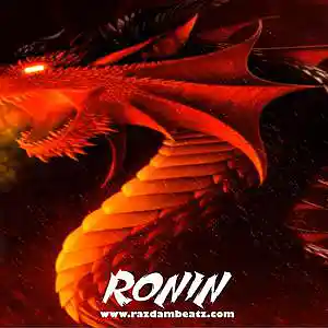 Picture for song 'RONIN (BUY 1 GET 4 FREE)' by artist 'Razdam Beatz'