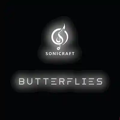 Picture for song 'butterflies' by artist 'SONICRAFT'