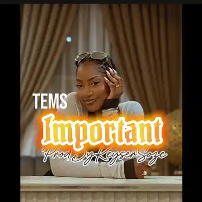 Picture for song '[FREE]Important x Tems ProdByKeyserSoze' by artist 'TheRealKeyserSoze'