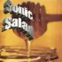 Picture for song 'Honey from the Rock II' by artist 'The Sonic Salad'
