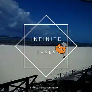 Picture for song 'Infinite' by artist 'Virgo Productions Kenya'