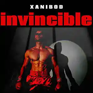Picture for song 'Invincible' by artist 'Xanibod'