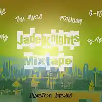 Picture for song 'Illusion Insane' by artist 'Jade Knights Mixtape'