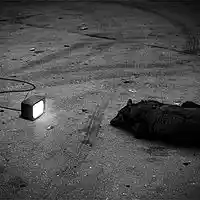 Picture for song 'Deep Floyd 106-Bouncer of Eden' by artist 'Jammer59'