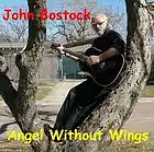 Picture for song 'Angel without wings' by artist 'John Bostock'