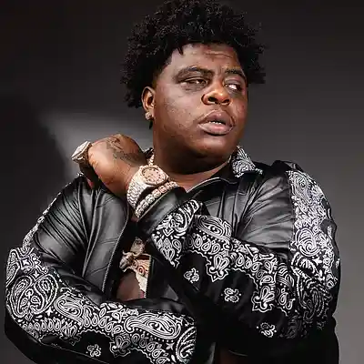 Picture for song 'Rise Up / BigXThaPlug x Sample Type Beat' by artist 'Leeked'