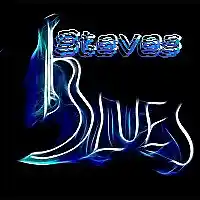Picture for song 'Steve's Blues' by artist 'Michael Duran'