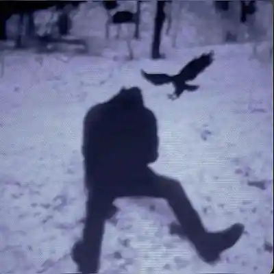 Song picture