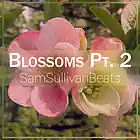 Picture for song 'Blossoms Pt. 2 (Beautiful New School)' by artist 'SamSullivanBeats'