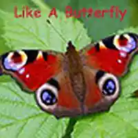 Picture for song 'Like A Butterfly' by artist 'Streeter and Tang'