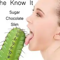 Picture for song 'She Know It' by artist 'Sugar Chocolate Slim'