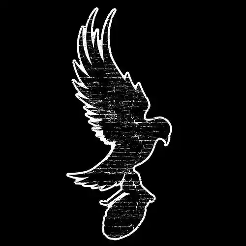 cover pic