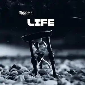 Picture for song 'Life' by artist 'TMBM313'
