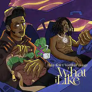 Picture for song 'What i like (ft waffiboi vintage)' by artist 'Baby kuti'