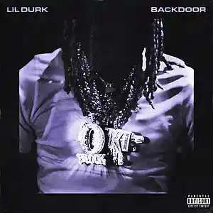 Picture for song 'Backdoor' by artist 'cul8rbeats'