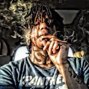 Picture for song 'All About My Bandz' by artist 'Track Professionals'