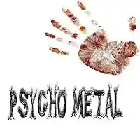 Picture for song 'What will be Left By (Psycho Metal)' by artist 'Psycho Metal'