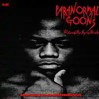 Picture for song 'Paranormal Goons' by artist 'Supabeatzondatrack'