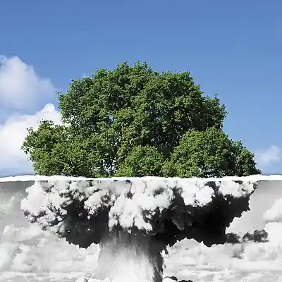 Picture for song 'Reppin' da truth' by artist 'The Maapla'