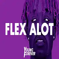 Picture for song 'Flex Alot (Prod. By Young Forever)' by artist 'Young Forever Beats'