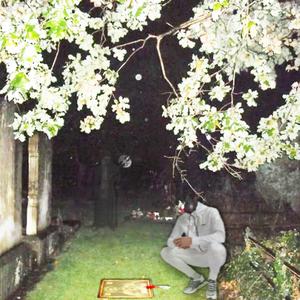 Picture for song 'Belfast City Cemetery (Introduction)' by artist 'DJ Fat Ronaldo'