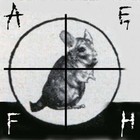 Picture for song 'Prefrontal' by artist 'Anal Electric Fur Harvest'