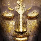 Picture for song 'Anton SiCH - The Buddha Lounge' by artist 'Anton SiCH'