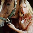 Picture for song 'Broken Misused Feathers' by artist 'Barbara Lee George'