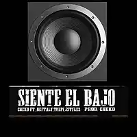 Picture for song 'Siente El BASS!' by artist 'BASSOTRONICS'