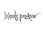 Picture for song 'Money on my mind' by artist 'Black Payne'