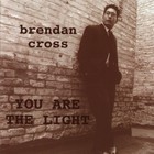Picture for song 'You are the Light (with Dan Silljer)' by artist 'Brendan Cross'