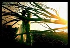 Picture for song 'Fairy Tale-FREE DL- Collab w/IamVinay.com' by artist 'CaSino MuZik'