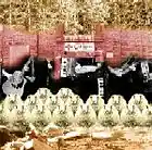 Picture for song 'Hot asphalt' by artist 'Ceili Moss'