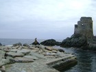 Picture for song 'INSTRUMENTAL' by artist 'Claudio'