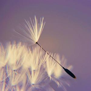 Picture for song 'Filler (Ambient R&B Type Beat) - Devezin.com' by artist 'Devezin'