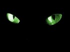 Picture for song '20101112_1 in the night' by artist 'DoubleAABeats'