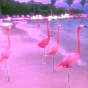 Picture for song 'Lotta Lotion (Buy 1 Get 4 Free)' by artist 'DreamBigRecords'