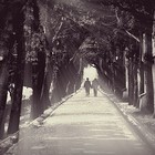 Picture for song 'Memory Lane' by artist 'Dreas Beats'