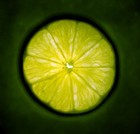 Picture for song 'Standin' in the Limelight' by artist 'Dubok Beatz'