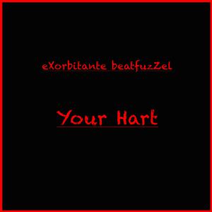 Picture for song 'your hart' by artist 'eXorbitante beatfuzZel'