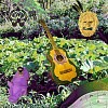 Picture for song '17) the semidiminished question.mp3' by artist 'FFF Fiale'