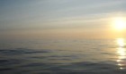 Picture for song 'In The Doldrums - Casey (C) 2007.MP3' by artist 'Gerry Casey'