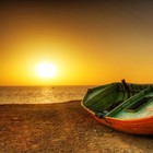 Picture for song '*SONG* Who - Sunny D - (Produced by Golden Day)' by artist 'Golden Day'