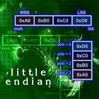 Picture for song 'Little Endian' by artist 'InterSlot Call'